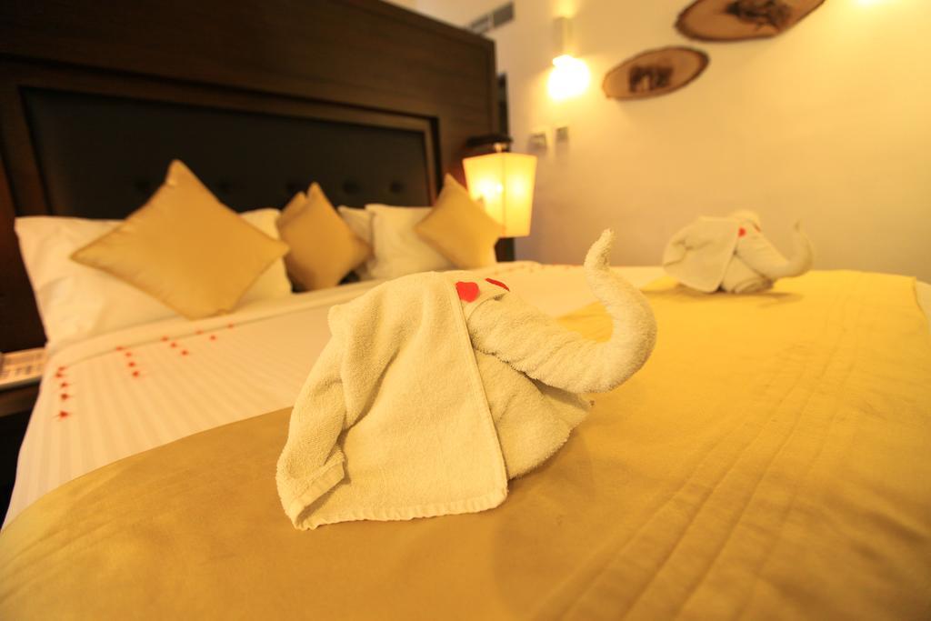 Grand Udawalawe Safari Resort Exteriör bild